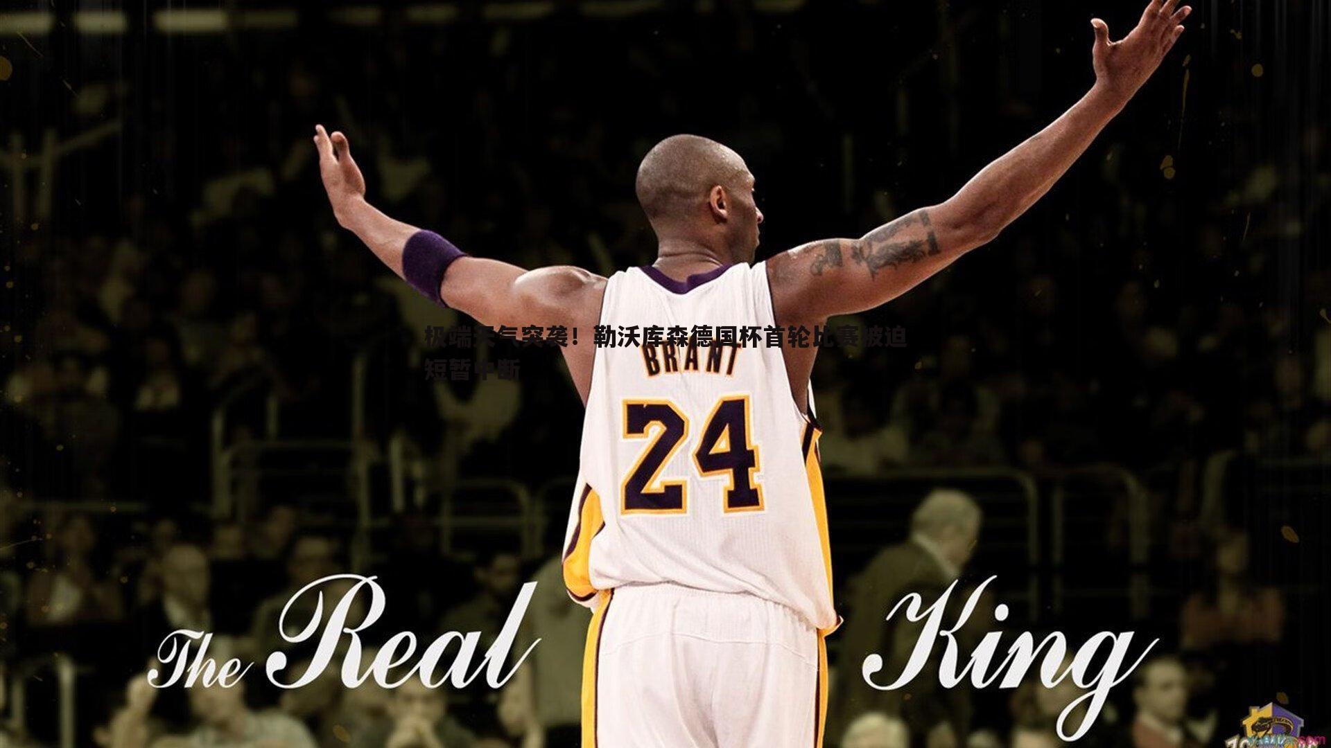 极端天气突袭！勒沃库森德国杯首轮比赛被迫短暂中断